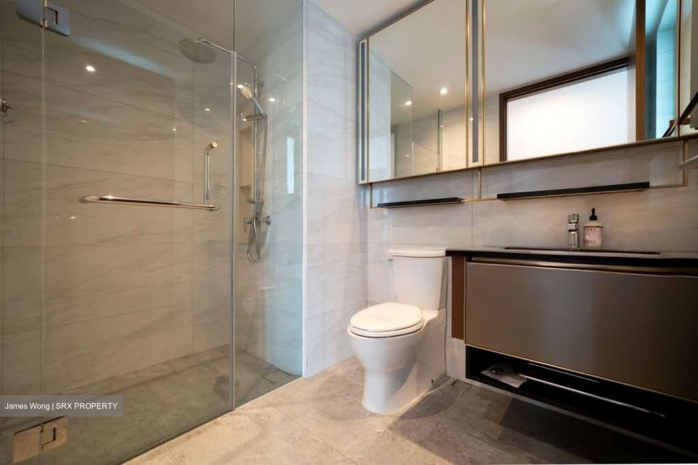Normanton Park (D5), Apartment #543328671